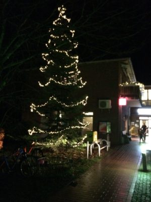 Lichterbaum am MarktTreff (Bild vergr&ouml;&szlig;ern)
