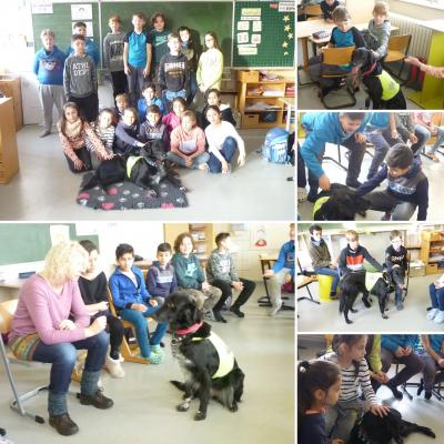 Foto zur Meldung: Neues aus der 4b - Schulhund Lotte ist zu Besuch