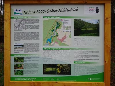 Vorschaubild zur Meldung: Infotafel für Natura 2000-Gebiet Mühlenteich