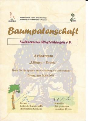 Kulturverein Wusterhausen erhält Urkunde vom Bürgermeister der Gemeinde Dreetz