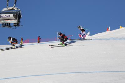 Kein Schnee - kein Weltcup - nach den Snowboardern muss auch die Weltelite der Skicrosser auf einen Start am Feldberg verzichten - Foto: Joachim Hahne / johapress