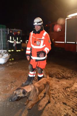 Feuerwehr und Rettungshunde trainieren gemeinsam