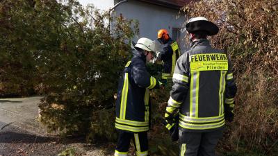 Sturmtief "Sabine" sorgt für elf Einsätze in der Gemeinde Flieden – Feuerwehr Flieden über 10 Stunden im Einsatz