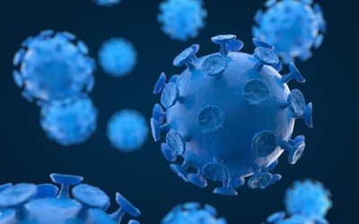 Bild der Meldung: Wichtige Infos zum Corona-Virus