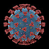 Allgemeine Informationen zum Coronavirus (Bild vergrößern)