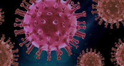 Info: Vorgehen beim Verdacht auf eine Coronavirus-Infektion (Bild vergrößern)