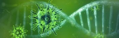 Bild der Meldung: Aktuelle Informationen zur Coronavirus Epidemie - Rechtsfolgen