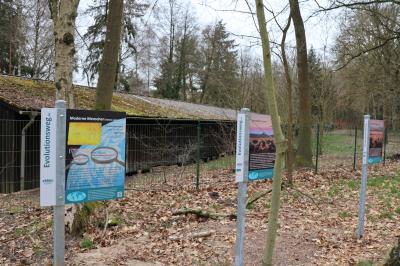 Vorschaubild zur Meldung: Ausflugstipp für einsame Spaziergänge in der Corona-Krise: Erster Evolutionsweg Brandenburgs in Kyritz eröffnet