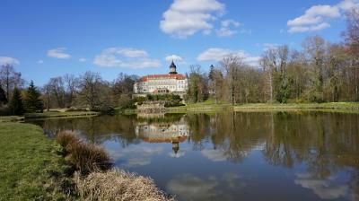 Blick auf Schloss Wiesenburg inmitten des frühlingshaften Schlossparks (Bild vergrößern)