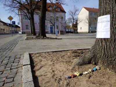 Bild der Meldung: Müncheberg: Corona-Schlange wächst