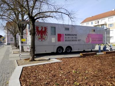 Bild der Meldung: Mammographie-Mobil kommt nach Müncheberg