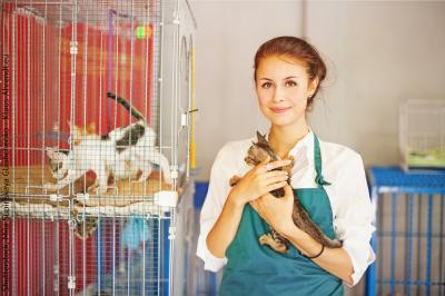 Bild der Meldung: Tierheime brauchen Ihre Hilfe: Landestierschutzbeauftragter Heidrich ruft zu Spenden für Tierheime auf