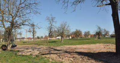 Im Baugebiet Dorfeiche will der Gemeinderat Platz für Neubürger schaffen. Jetzt wurden dafür die letzten Weichen gestellt.
