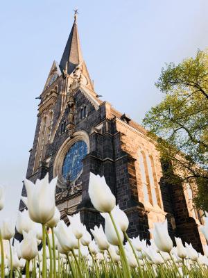 Frühling um die Johanneskirche (Foto: Anja Schaal) (Bild vergrößern)