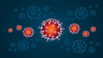 Foto zur Meldung: Coronavirus: Stufenweise Erleichterungen geplant