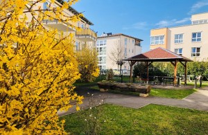 Vorschaubild der Meldung: Gartenblüte in der Einrichtung "An der Lauter" in Kirchheim an der Teck