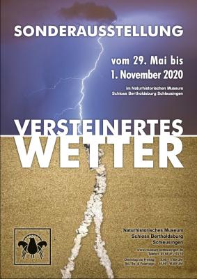 Plakat SA Versteinertes Wetter