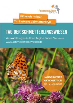 Foto zur Meldung: Tag der Schmetterlingswiesen am Biedermeierstrand