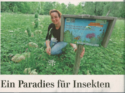 Eilenburger Stadtpark - ein Eldorado für Schmetterlinge und Co. (Bild vergrößern)