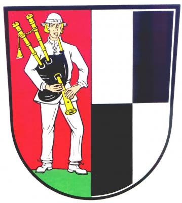 Satzung zur Regelung von Fragen des  örtlichen Gemeindeverfassungsrechts in der Stadt Selbitz (Bild vergrößern)