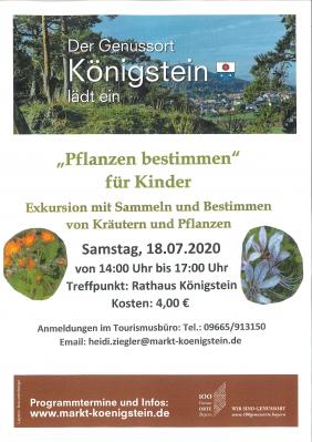 Pflanzenbestimmung - Markt Königstein