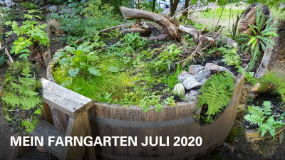 Hotzenwald-Naturgarten Gartenprojekt 2020