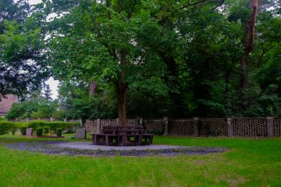 Baumgemeinschaftsanlage auf dem Friedhof in Lichtenow