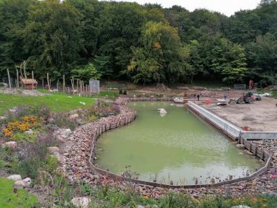 Der Teich ist endlich mit Wasser gefüllt!