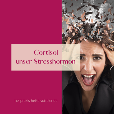 BlogBeitrag: Cortisol - unser Aktivitätshormon bzw. Stresshormon (Bild vergrößern)