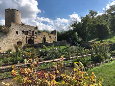 Der Burggarten - angelegt nach historischem Vorbild