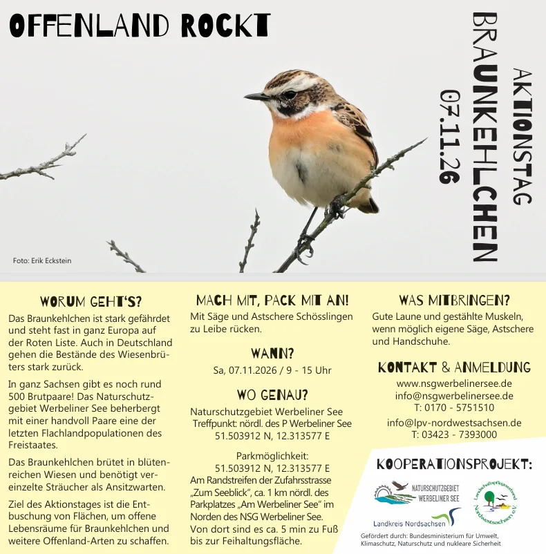 Offenland Rockt!
