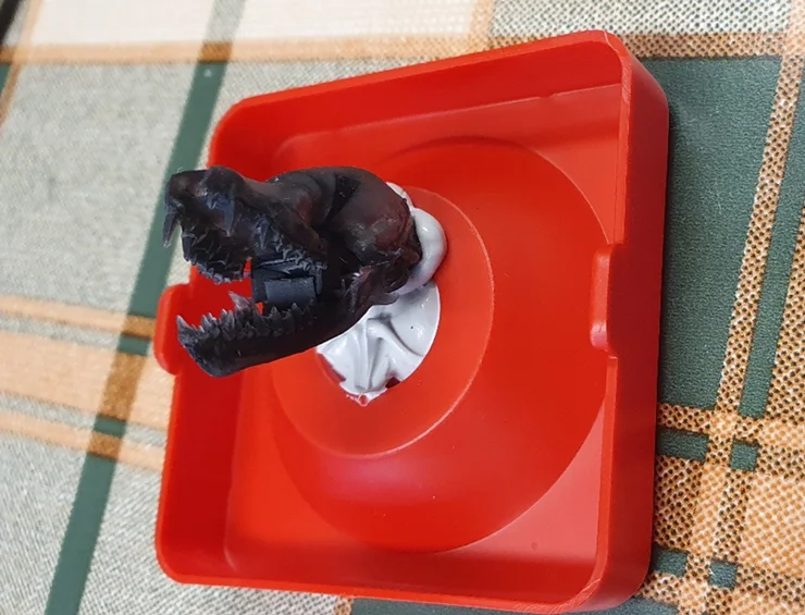 Gebissmodell einer Nymphenfledermaus
