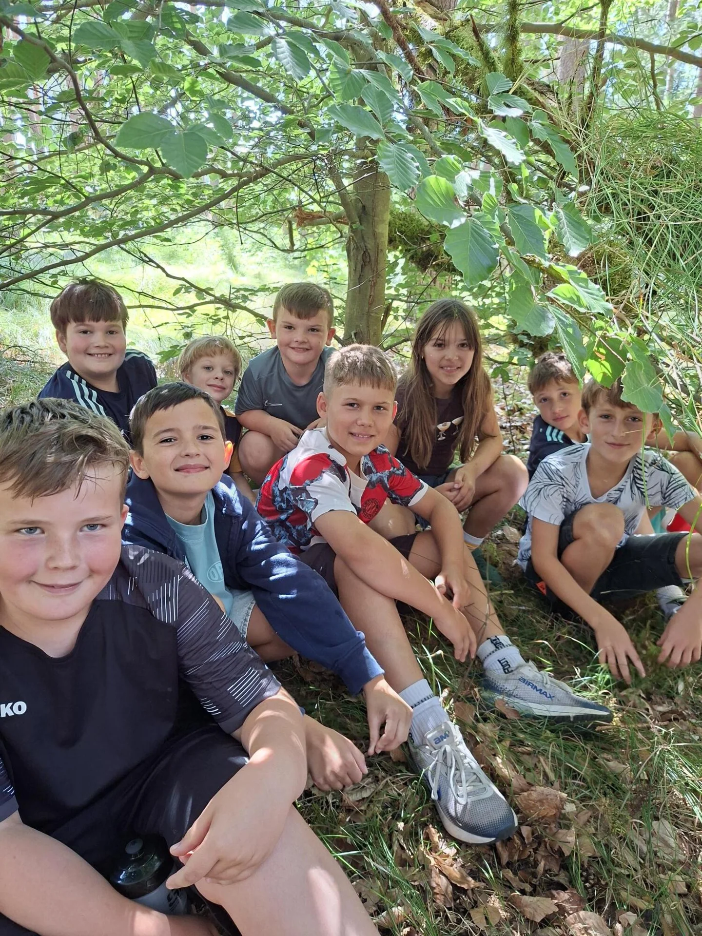 Bild 5