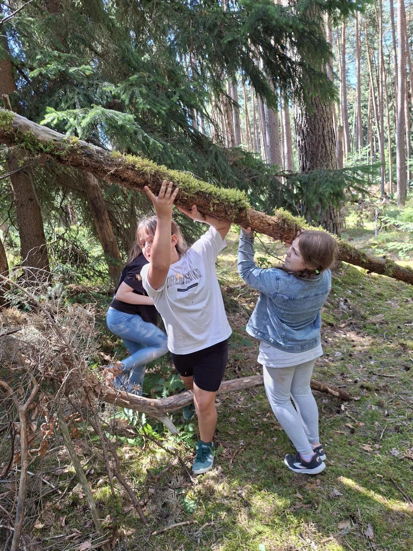 Bild 8
