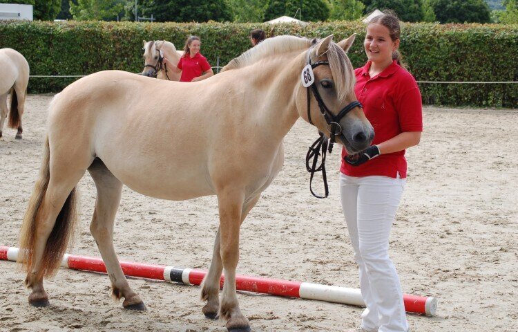 750x480-crop-90-dsc_2678_siegerstute_2_und_3_jaehrige_lillet