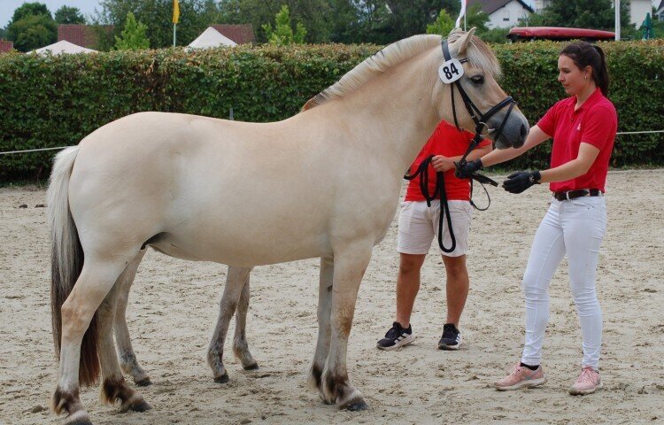 750x480-crop-90-dsc_2709_siegerstute_lotta
