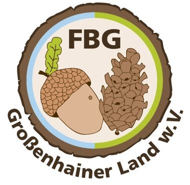 Logo FBG