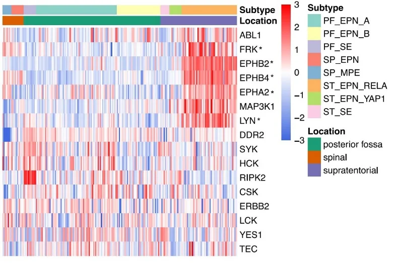 Kinase-Genen über den molekularen Subtyp
