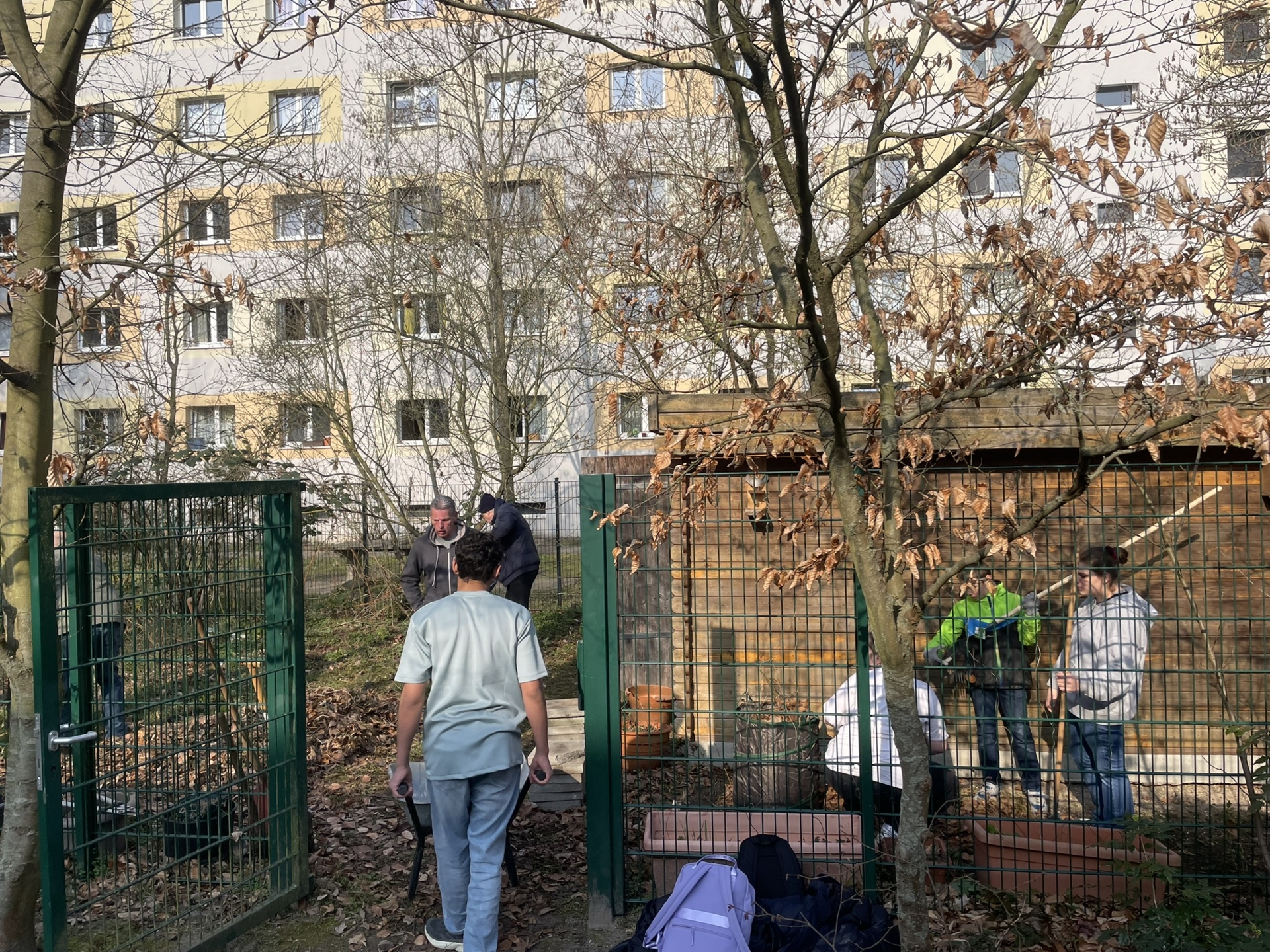 fleißig wie die Bienen