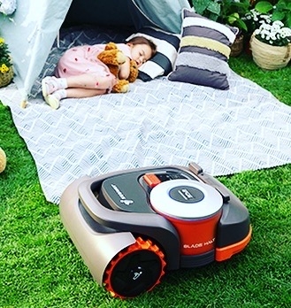 Rasenroboter beim Picknik