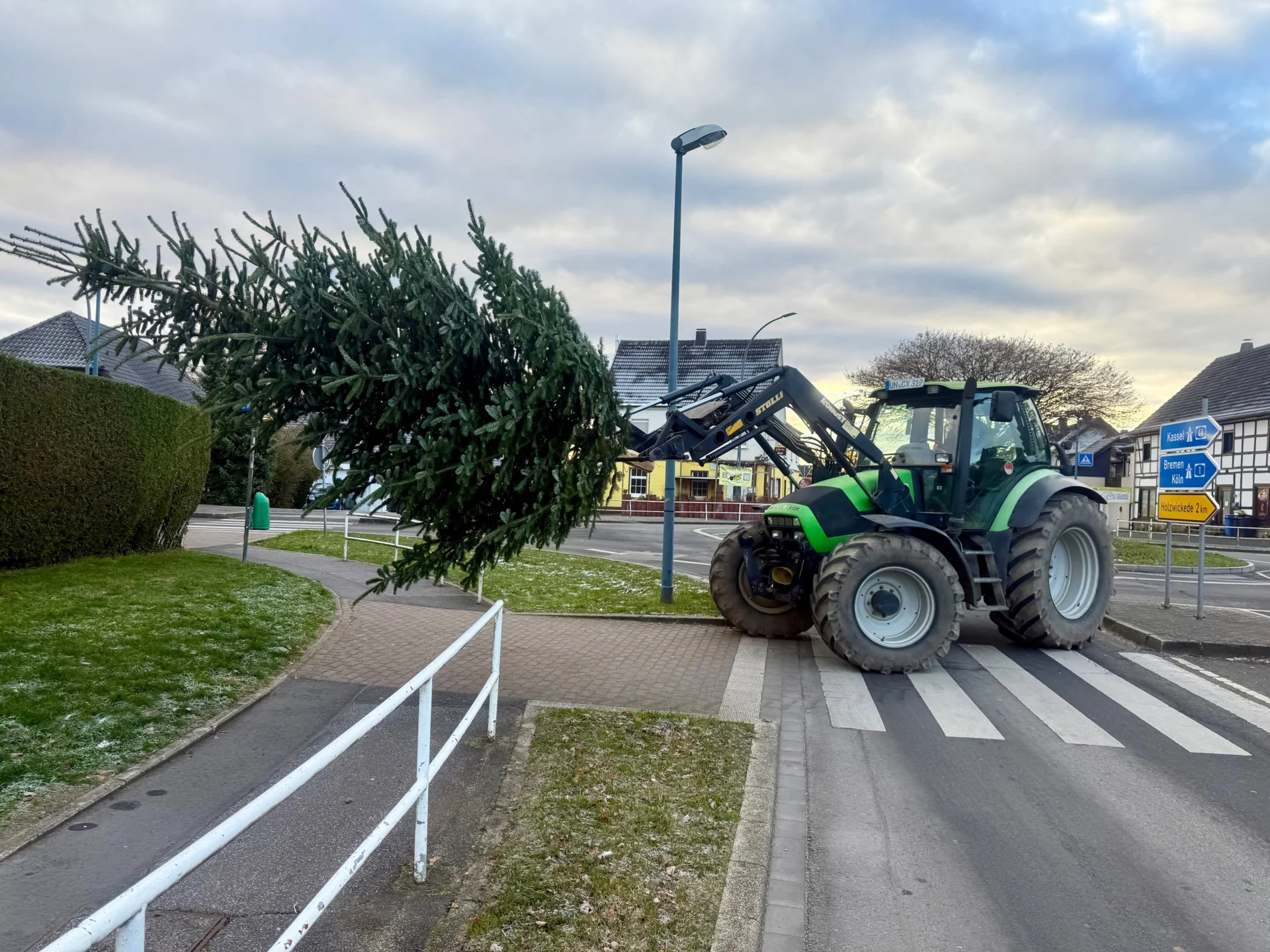 Die Tanne wird geliefert
