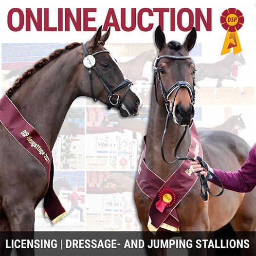 Online Auction