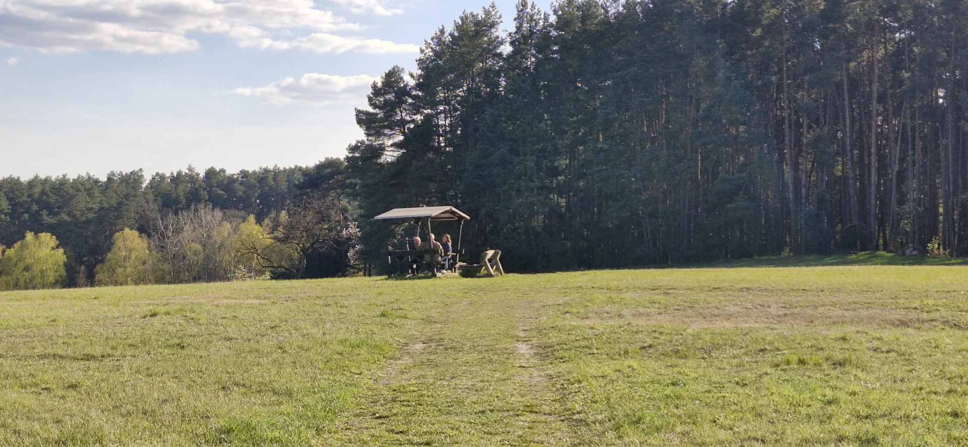 Der Weg hin zum "Schönen Blick"