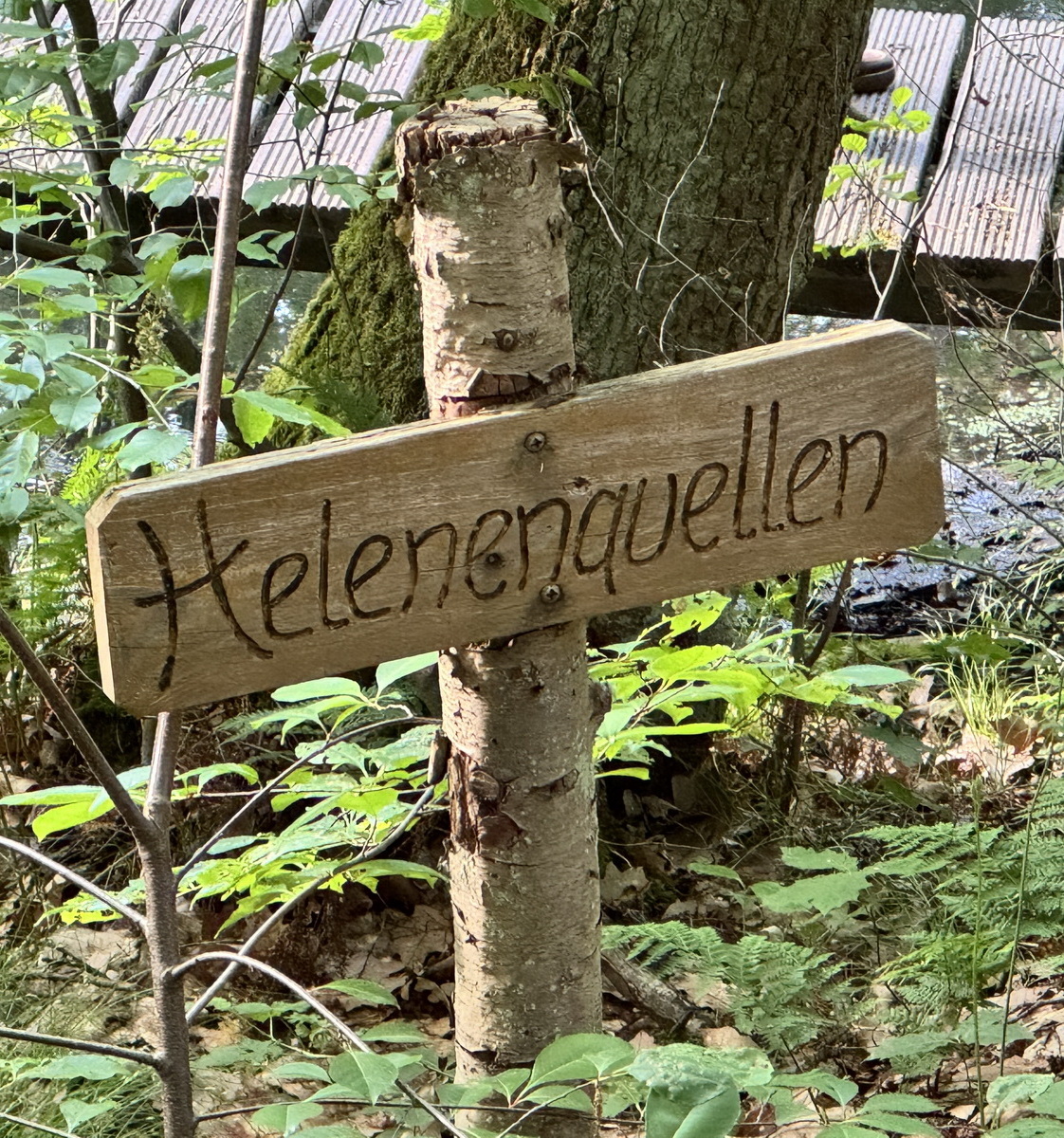 Helene1