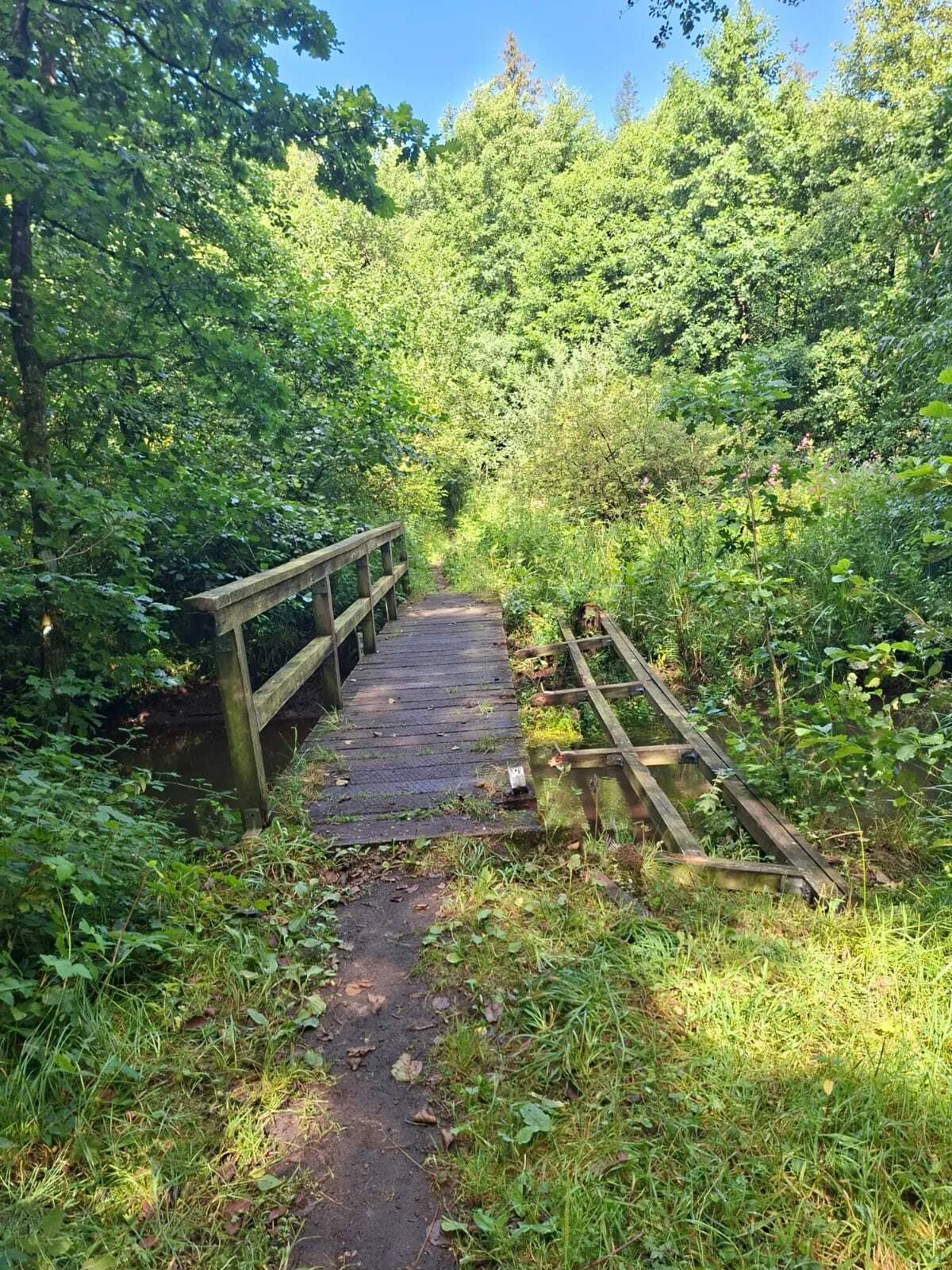 Brücke1