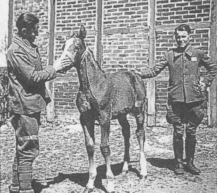 Berhnhard Schemmelmann mit Pferd