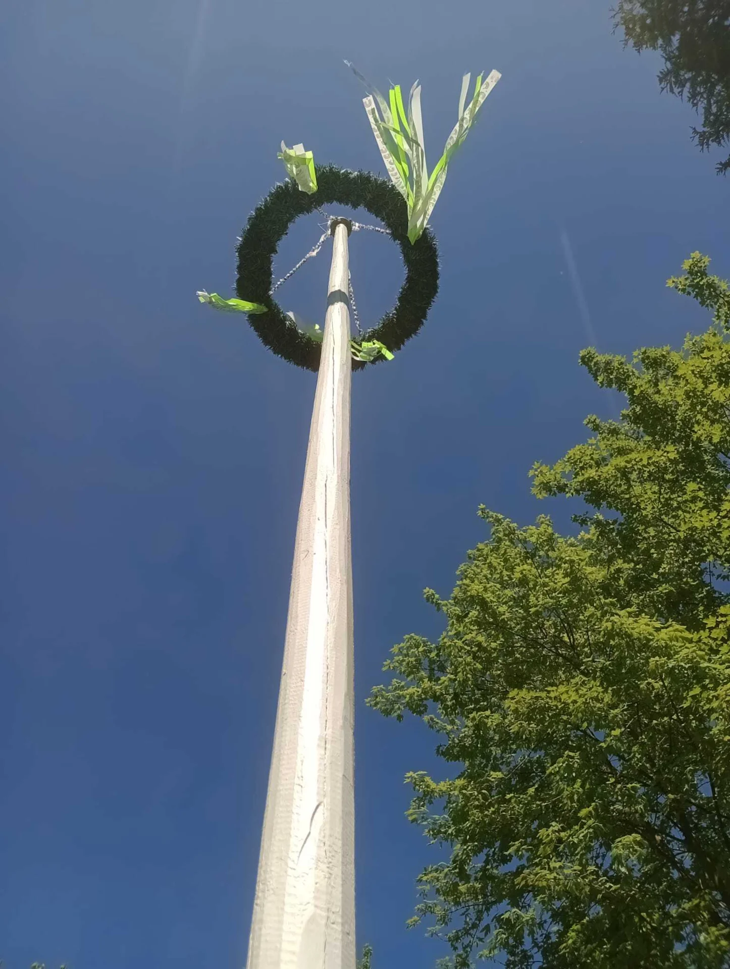 Maibaumaufstellen
