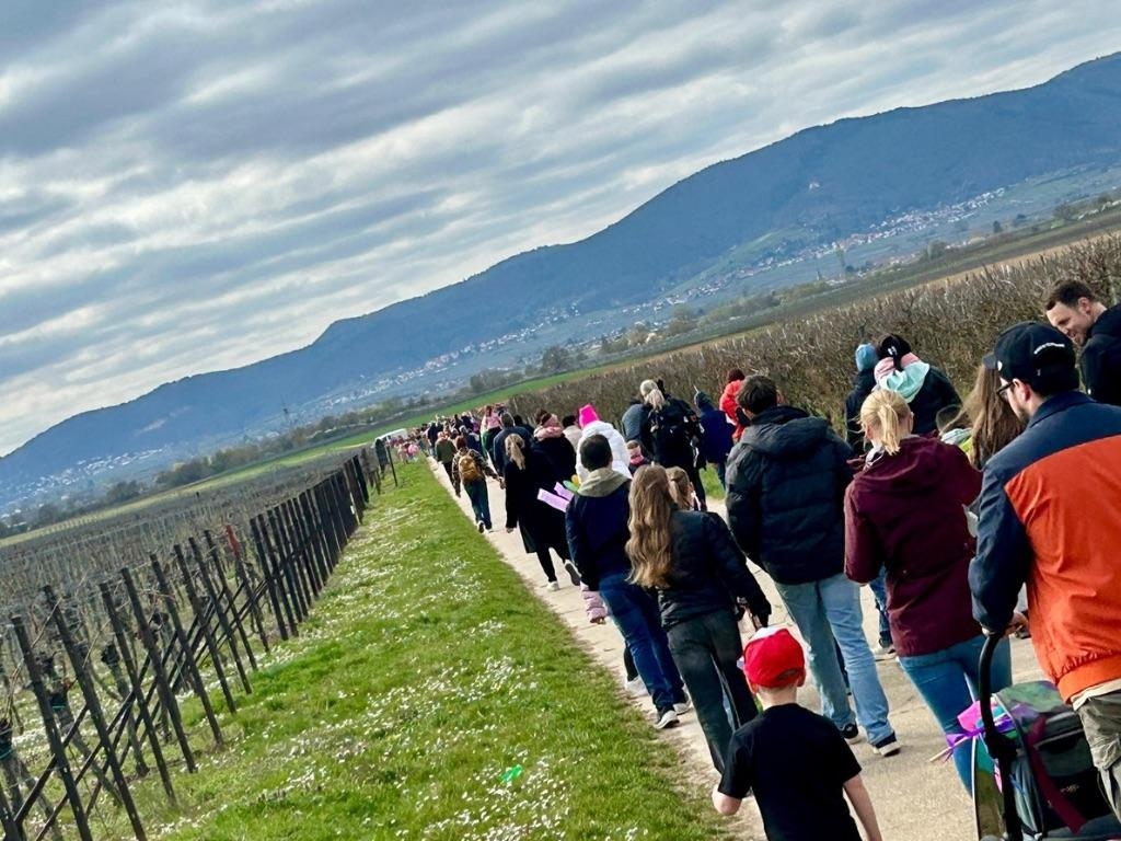 Lätarefest - Wanderung durch die Weinberge