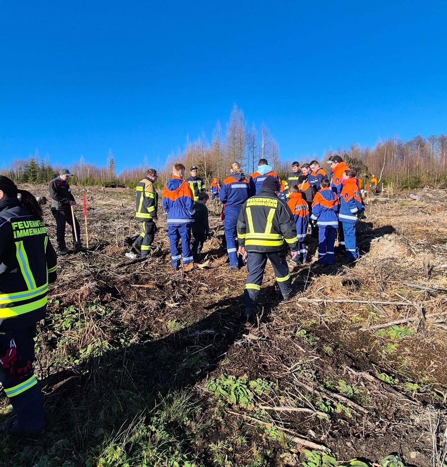 Baumpflanzaktion im Reinhardswald