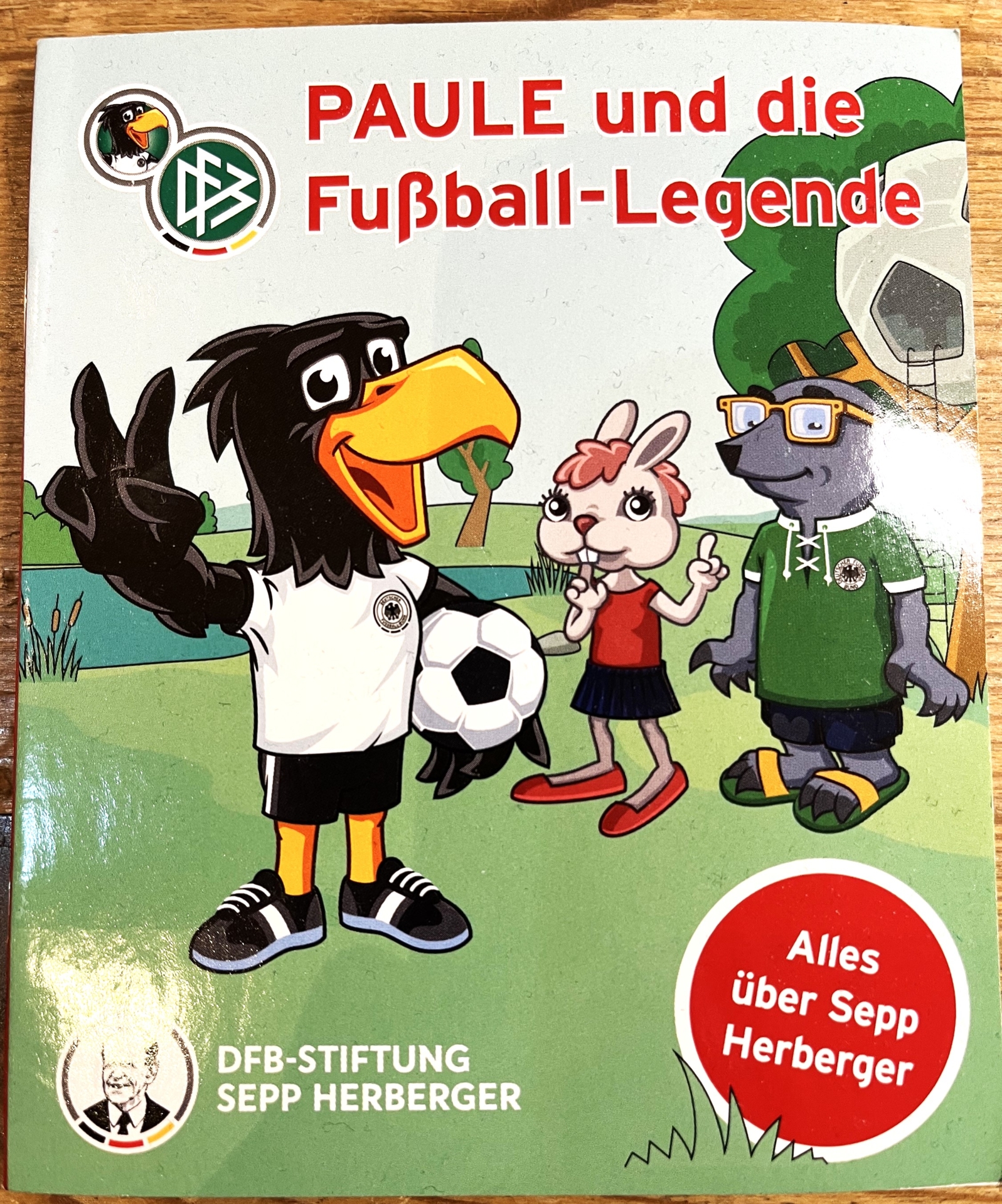 DFB Paule Schnupperabzeichen
